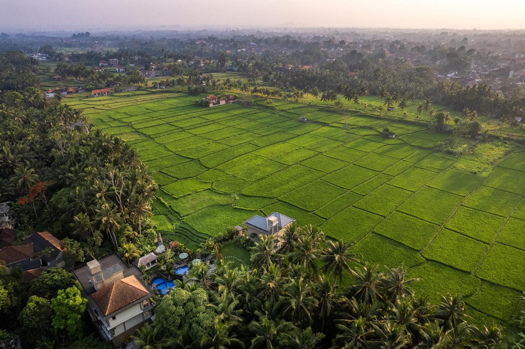 Gynandha Ubud Cottage Exterior photo