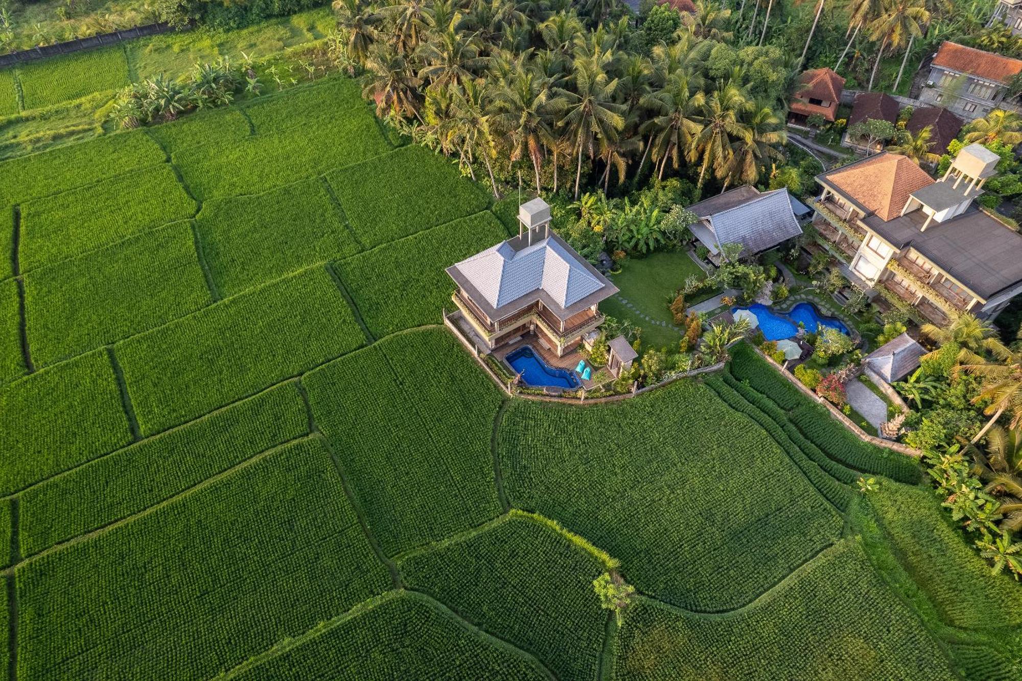 Gynandha Ubud Cottage Exterior photo